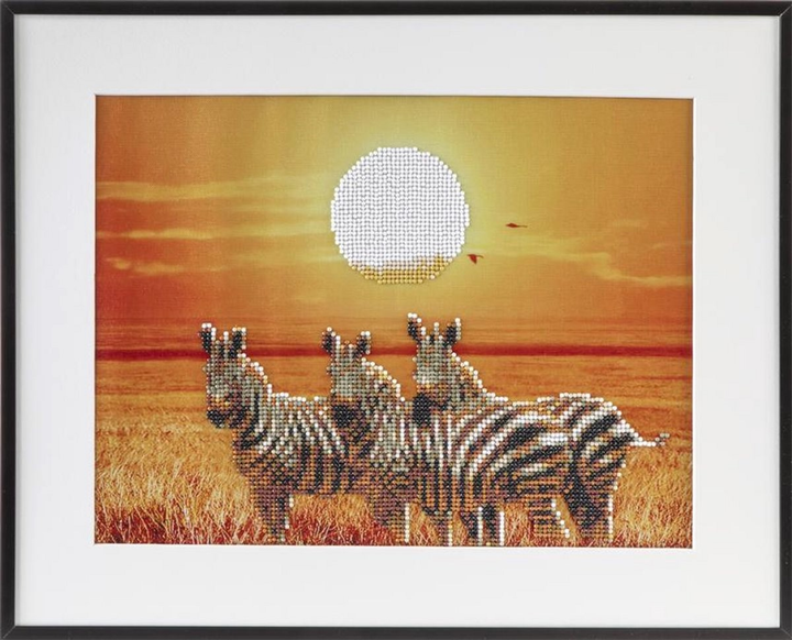 Zestaw do haftu diamentowego Craft Sensations Zebra 40 x 50 cm (8720257102372) - obraz 1