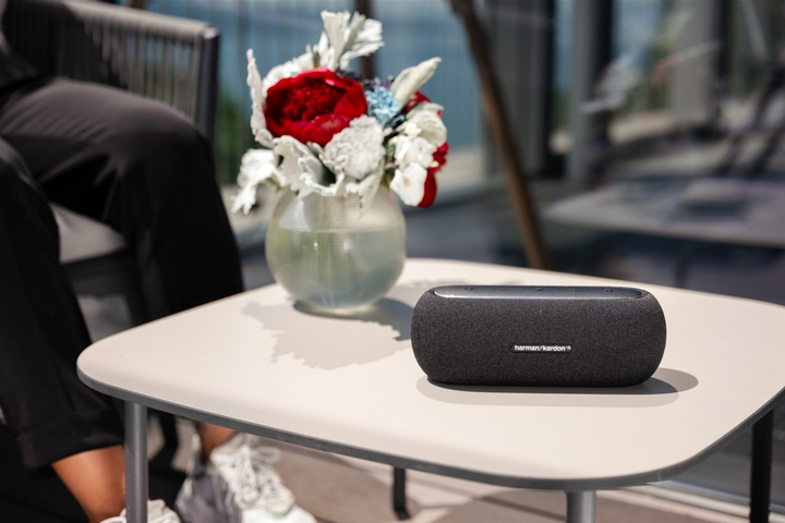Акустическая система Harman/Kardon Luna Black (HKLUNABLKEU) - изображение 13