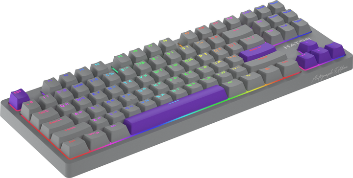 Клавіатура дротова HATOR Rockfall 2 Autograph Edition Mecha TKL Aurum Choco USB Titanium (HTK-526) - зображення 4