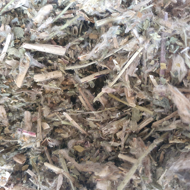 Астрагал шерстистоквітковий трава сушена 100 г - зображення 1