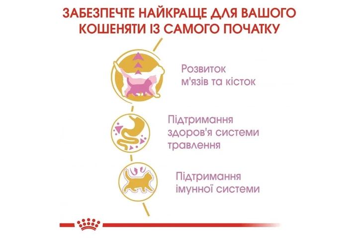 Cухой корм Royal Canin British Shorthair Kitten - для Британских короткошерстных котят 8 кг + 2 кг - изображение 3