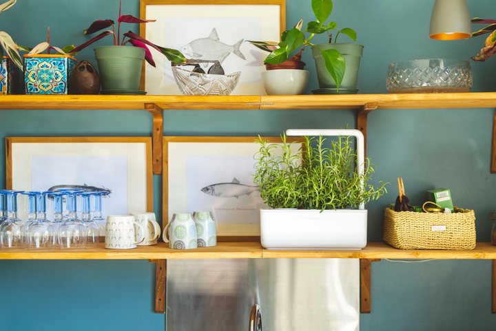 Розумний сад - гідропонна установка для рослин Click&Grow Smart Garden 3 (7205 SG3) - изображение 4