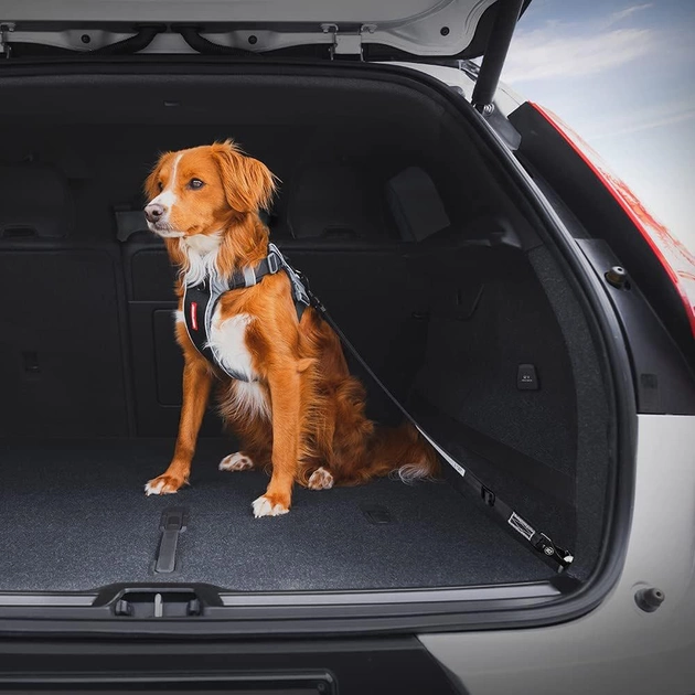 Pas bezpieczeństwa dla psów EzyDog Click Dog Seat Belt Isofix M Black (9346036100477) - obraz 2