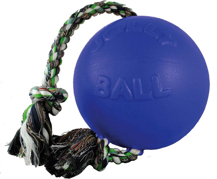 Piłka dla psów Jolly Pets Tug-N-Toss Baby Blueberry Smell 10 cm Blue (0788169445220) - obraz 1