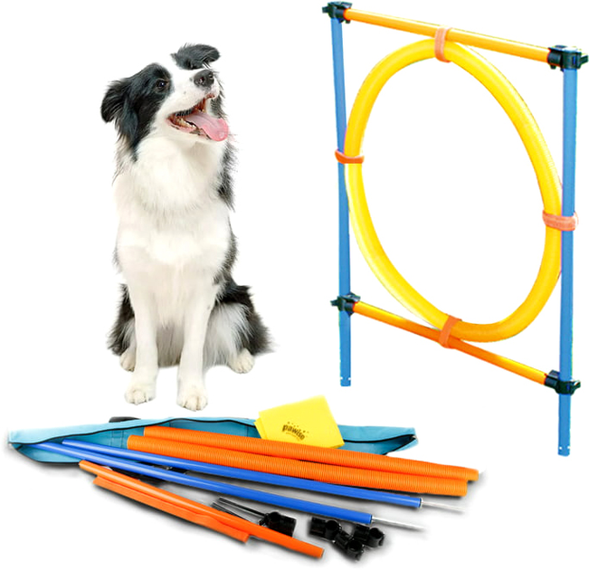 Кільце для стрибків для собак Pawise Agility Ring 55 см Multicolour (8886467514333) - зображення 1