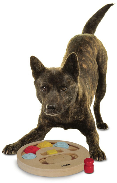 Interaktywna zabawka dla psów Camon Genius Koło 23 cm (8019808223360) - obraz 2