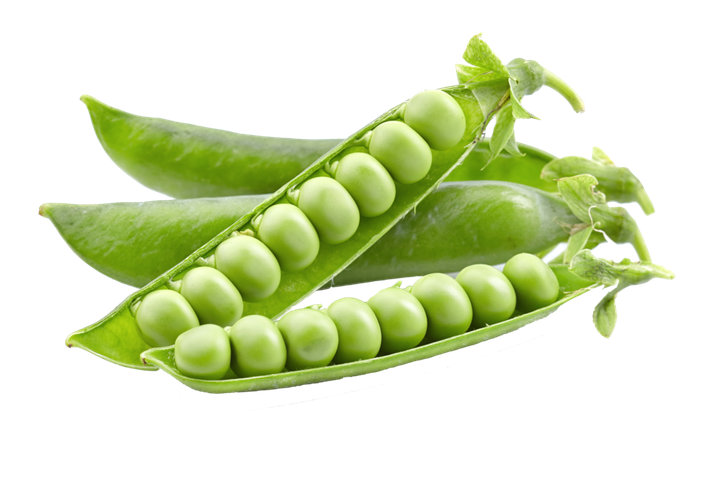 Семена Горох Джокер, 50 г (GL Seeds) - изображение 2