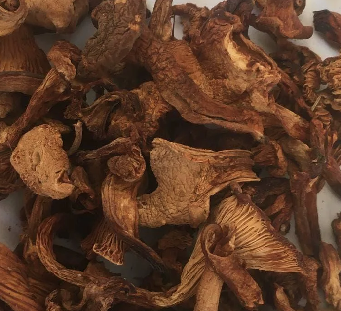 Лисички сушеные грибы 100 г - изображение 1