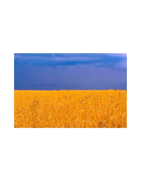 Шеврон патч " Прапор Україна " на липучці велкро - зображення 1