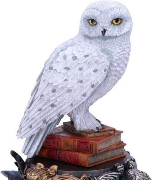 Figurka Nemesis Now Harry Potter Hedwig 22 cm (B6148W2) - obraz 3