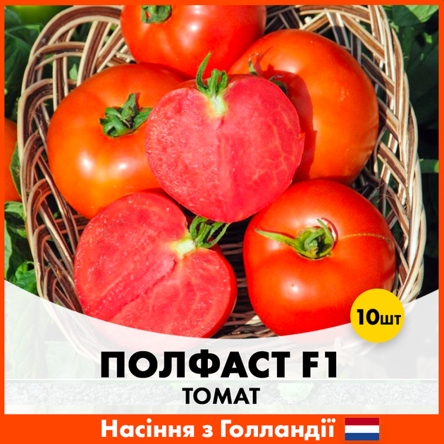 Голландське Насіння Bejo Томат Полфаст F1 10 шт - Фото 1 Голландське Насіння Bejo Томат Полфаст F1 10 шт - зображення 1
