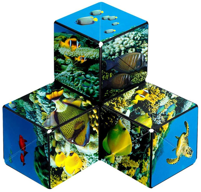 Łamigłówka Shashibo Shape Shifting Box Undersea (0860002983950) - obraz 6