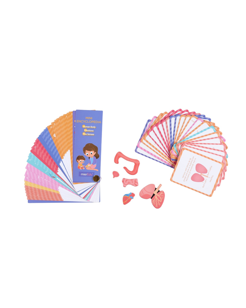 Магнітні пазли MierEdu All Все про людське тіло та емоції 120 елементів (9352801000972) - зображення 6