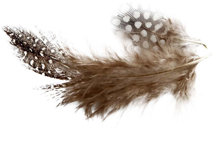 Декоративні пір'я Creativ Company Guinea Fowl Feathers Natural 50 г (5707167903773) - зображення 2