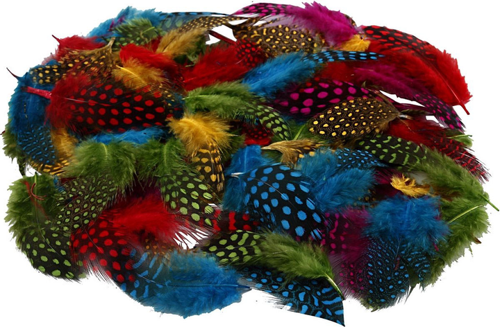 Декоративні пір'я Creativ Company Guinea Fowl Feathers Різнокольорові 50 г (5707167903810) - зображення 1