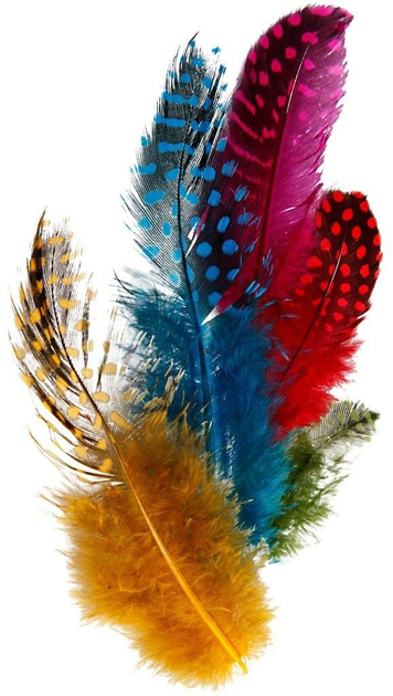 Декоративні пір'я Creativ Company Guinea Fowl Feathers Різнокольорові 50 г (5707167903810) - зображення 2