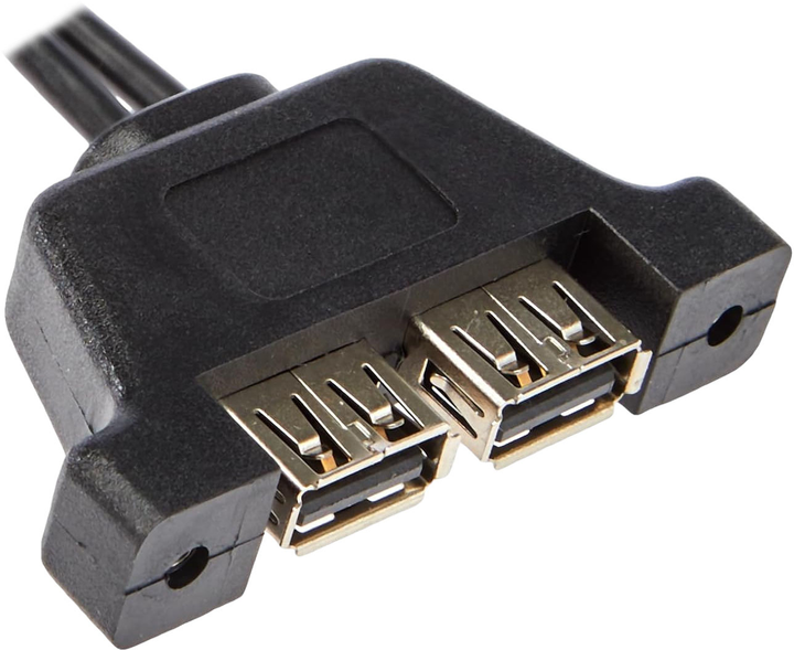 Kabel ASRock Deskmini 2xUSB 2.0 Cable Czarny (5RB000010020) - obraz 2