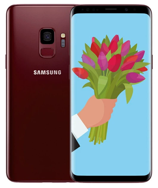 Смартфон Samsung Galaxy S9 4/64Gb Burgundy Red (SM-G9600) Seller