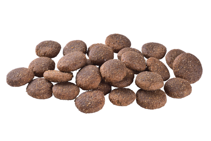 Беззерновий сухий корм для собак великих порід з лососем Brit Care Dog Grain-free Adult Large Breed 3 кг - зображення 6