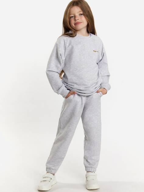 Дитячий спортивний костюм (світшот + штани) для дівчинки Tup Tup 101404-8110 116 см Сірий (5907744490959) - зображення 1