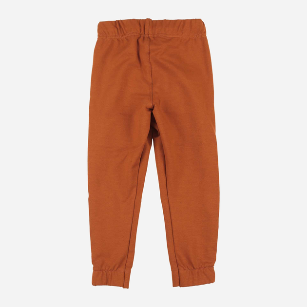Spodnie dresowe młodzieżowe dla chłopca Tup Tup PIK4060-4620 140 cm Brązowe (5907744498498) - obraz 2