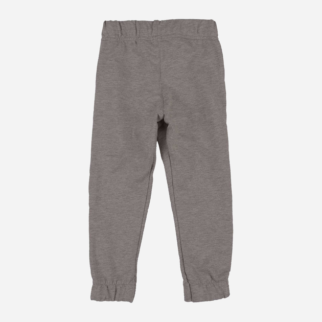 Дитячі теплі спортивні штани для хлопчика Tup Tup PIK5031-8110 98 см Сірі (5907744517038) - зображення 2