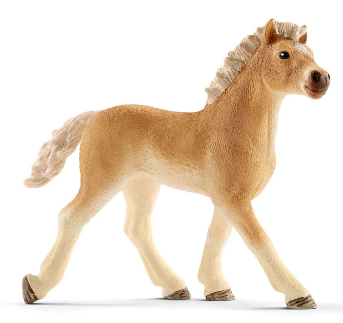 Ігровий набір Schleich FARM WORLD Ветеринарна практика з домашніми тваринами 42502 (4059433572970) - зображення 14