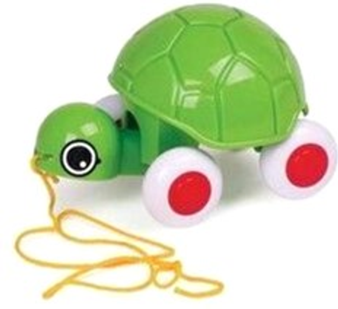 Іграшка-каталка Bontempi Черепаха Зелена (7317670013302) - зображення 1