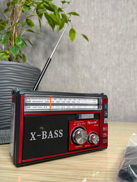 Радиоприемник от сети с аккумулятором и разьемом под батарейки, USB SD ...