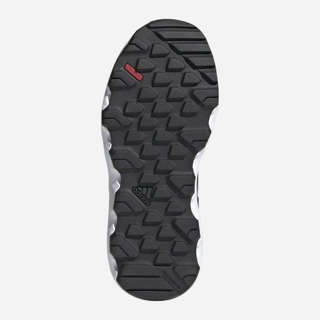 Дитячі трекінгові кросівки для хлопчика Adidas Terrex Voyager Cf h.Rdy K FX4196 31.5 Чорні (4062065828605) - зображення 6