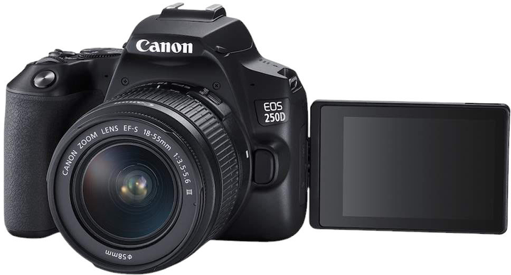 Фотоаппарат Canon EOS 250D + 18-55mm DC III Lens (3454C003) купить на ...