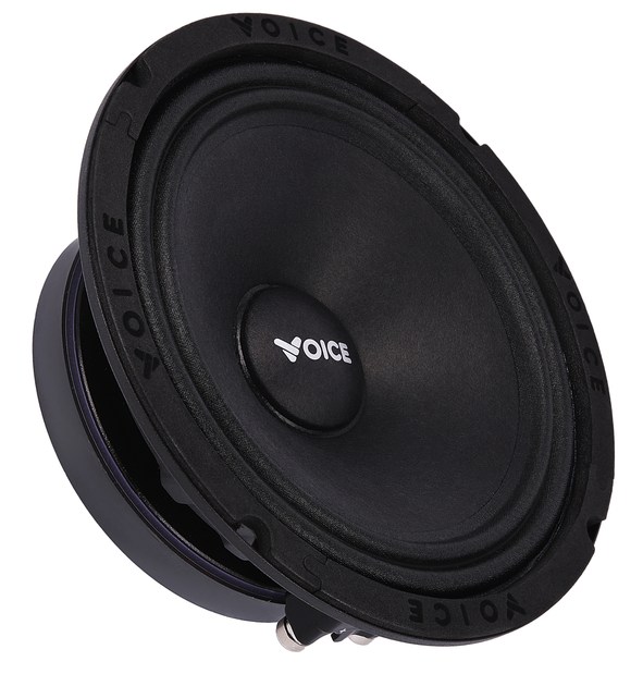 Эстрадная акустика Voice SP-65 SQL - изображение 4