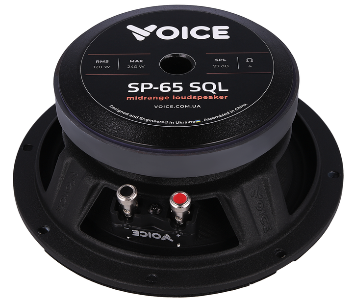 Эстрадная акустика Voice SP-65 SQL - изображение 6