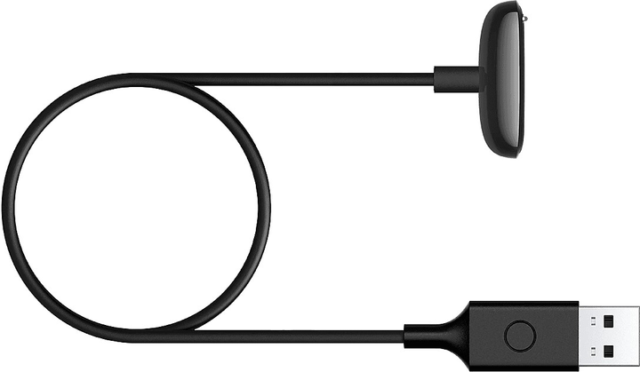 Кабель Fitbit Charge 6 - USB Type-A M/M 1 м Black (GA04944-GB) - зображення 1