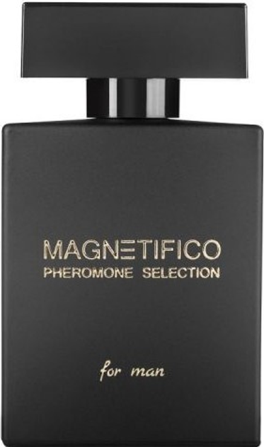 Perfumy z feromonami męskie Valavani Magnetifico Selection Man 100 ml (8595630010120) - obraz 1