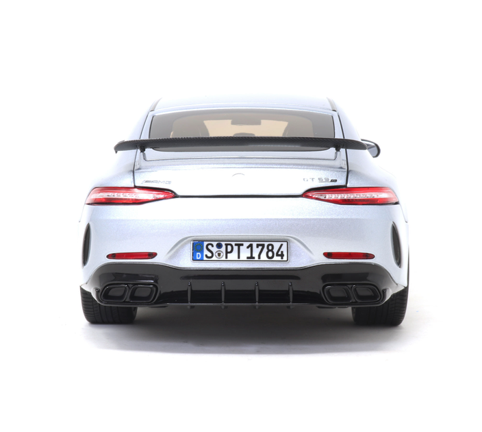Модель автомобіля Mercedes-Benz-AMG GT 63 S 4MATIC+ (X290) Silver
