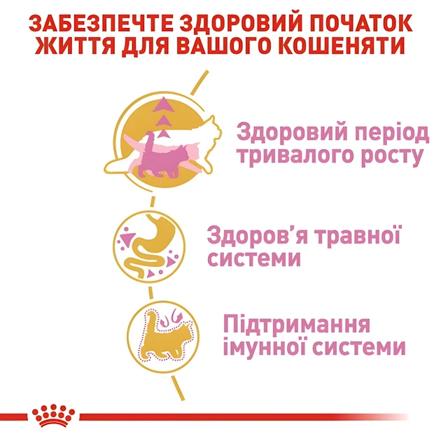 Сухой корм Royal Canin Mainecoon Kitten для котят породы Мейн Кун 400 г - изображение 3