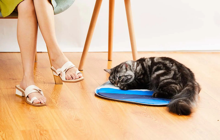 Лежак для кота охалоджуючий PETKIT Cooling Cat Pad (6931580106100) - зображення 5