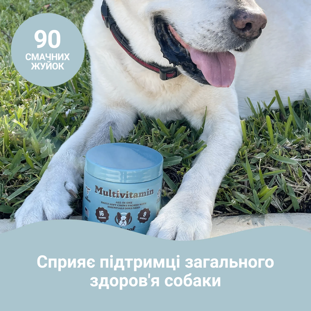 Мультивитаминный комплекс Multivitamin Natural Dog Company 90шт в банке - изображение 7