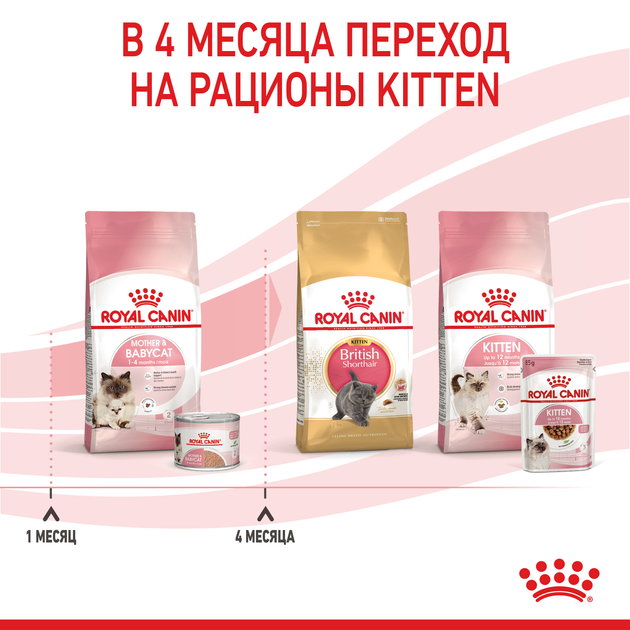 Вологий корм для вагітної/годуючої кішки та кошенят Royal Canin Mother & Babycat Cans 195 г (9003579311660) (4098002) - зображення 9