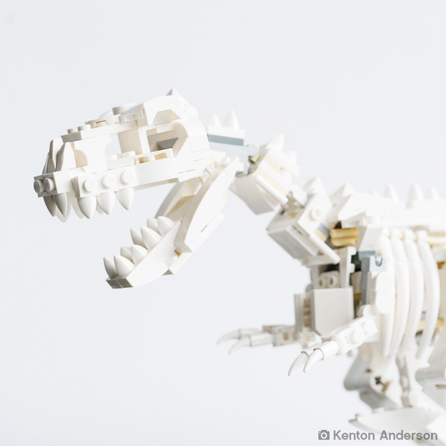 Конструктор LEGO Ideas Кістки динозавра 910 деталей (21320) - зображення 9