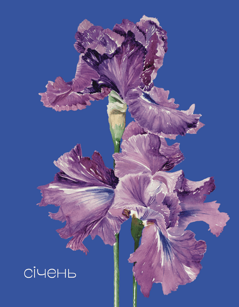 Квіти Перемоги. Мотиваційний планувальник - Мар'яна Савка, Мягкий, 232стр, Видавництво Старого Лева - Фото 7 Квіти Перемоги. Мотиваційний планувальник - Мар'яна Савка, Мягкий, 232стр, Видавництво Старого Лева - зображення 7