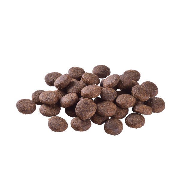 Корм сухий Brit Care Dog Grain-free Junior Large Breed для молодих собак великих порід беззерновий з лососем 3 кг - Фото 2 Корм сухий Brit Care Dog Grain-free Junior Large Breed для молодих собак великих порід беззерновий з лососем 3 кг - изображение 2