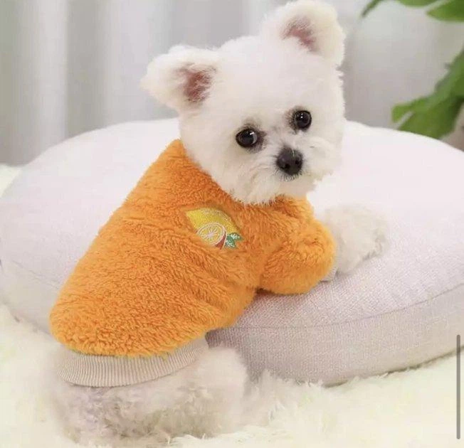 Махровый свитер для котов и кошек Pet Style "Лимон" Оранжевый XS - Фото 2 Махровый свитер для котов и кошек Pet Style "Лимон" Оранжевый XS - изображение 2