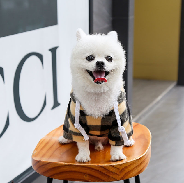 Худи для котов и кошек с карманом Pet Style "Сосиска" Черно-белая клетка 5XL - Фото 3 Худи для котов и кошек с карманом Pet Style "Сосиска" Черно-белая клетка 5XL - изображение 3