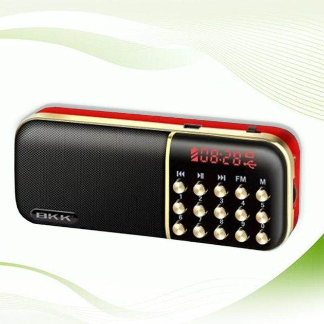 FM радиоприемник c МР3 радио проигрыватель на батарейках от USB (BB5ISS) - изображение 1