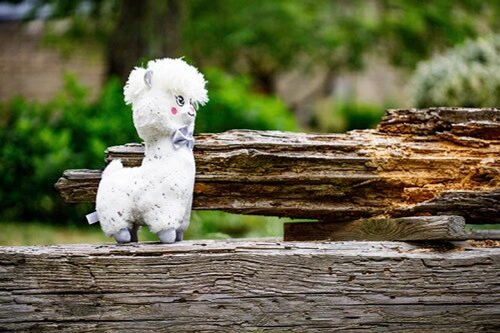 Maskotka dla dzieci InnoGIO GIOplush GIO Alpaca White Cuddly GIO-828 biała (5903317816911) - obraz 7
