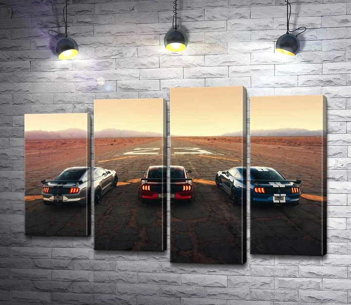 Модульная картина Гоночные автомобили Ford Mustang Shelby GT500 на старой дороге 100x69 см Модуль №3 (000956) - Фото 1 Модульная картина Гоночные автомобили Ford Mustang Shelby GT500 на старой дороге 100x69 см Модуль №3 (000956) - изображение 1