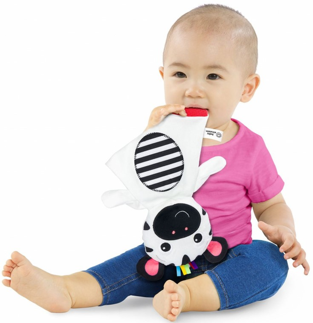 Брязкальце Baby Einstein Zen the Zebra 2 в 1 0 м+ (0074451167728) - зображення 2