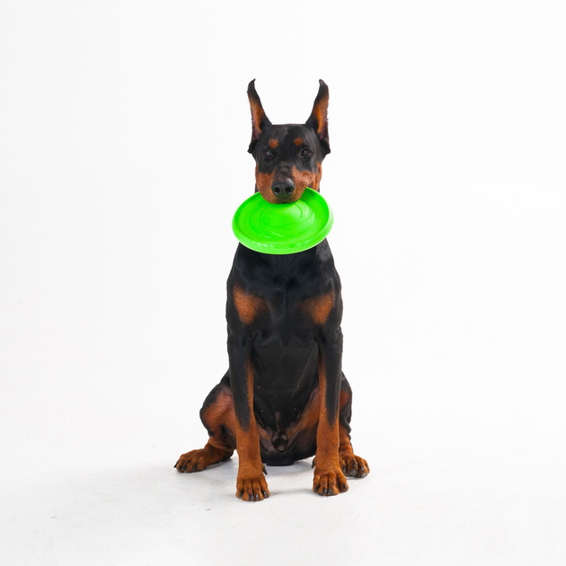 Іграшка для собак Collar Flyber Літаюча тарілка 22 см Салатова (4823089304731) - зображення 7